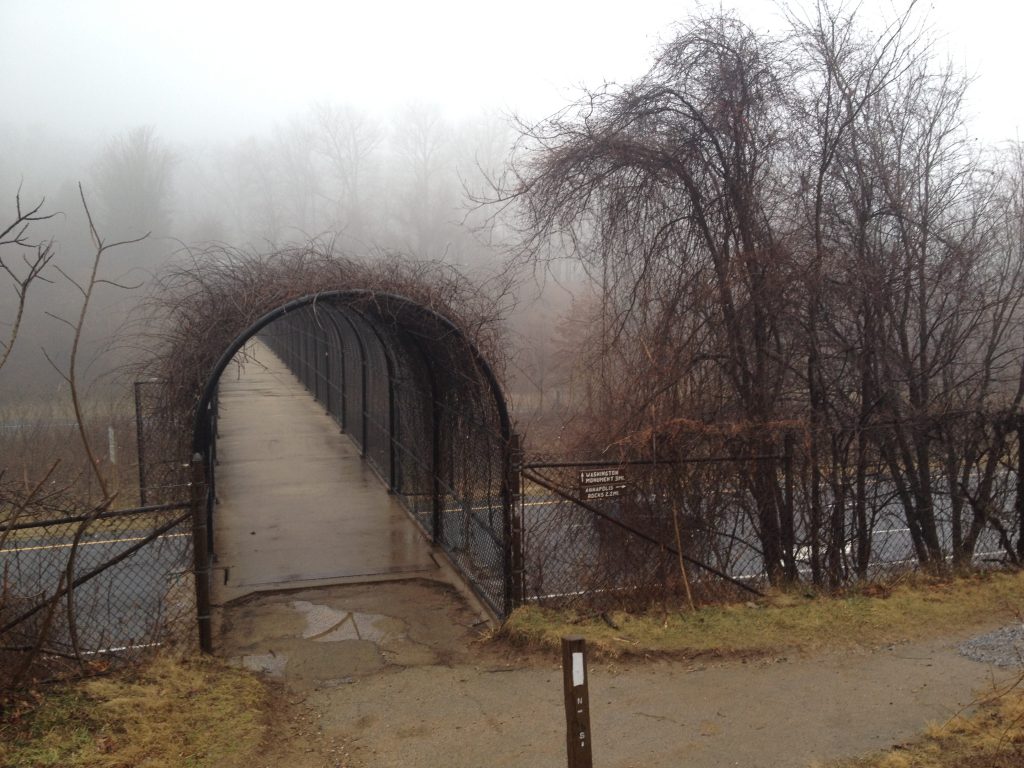 Footbridge On Appalachian Trail Clear of Mud