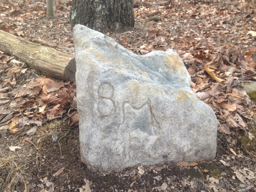 Annotated Marker 'Highlighting' the carving of 8 M