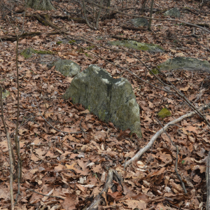 Property Boundary Stone On Appalachian Trail East Side 1 Mile N Crampton Gap