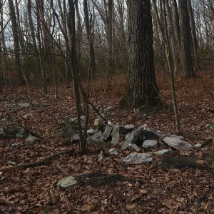 Property Boundary Stone Near Bear Spring Cabin Trail