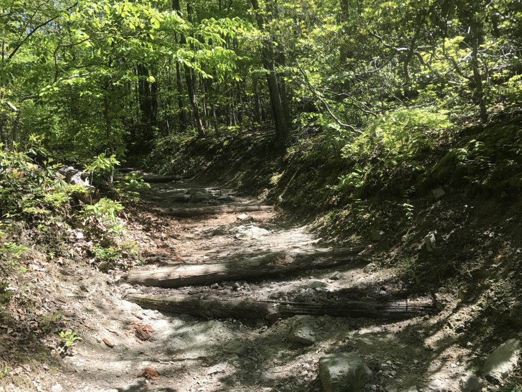 V-shaped Waterbar on Pine Knob - Appalachian Trail