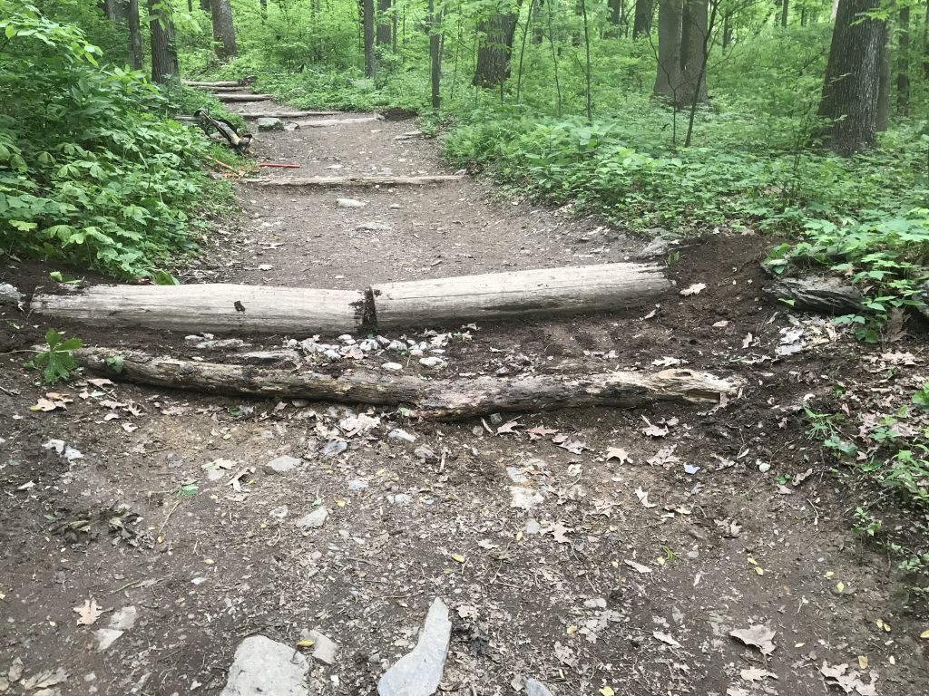 V-Shaped Waterbar on Appalachian Trail